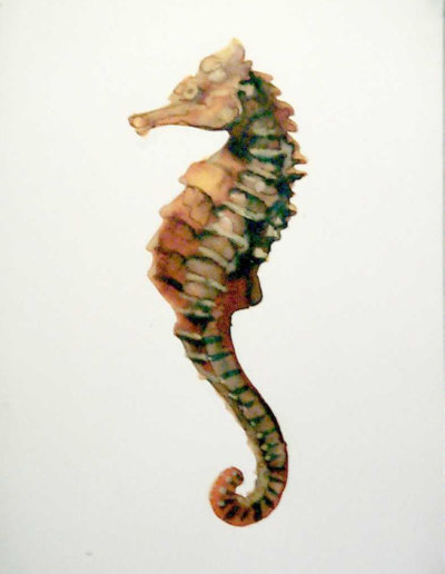 Hippocampe 3 - 21 x 29 cm